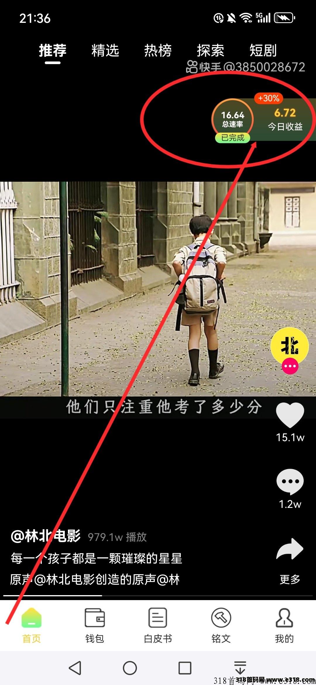 菠萝视频，价格每日上涨