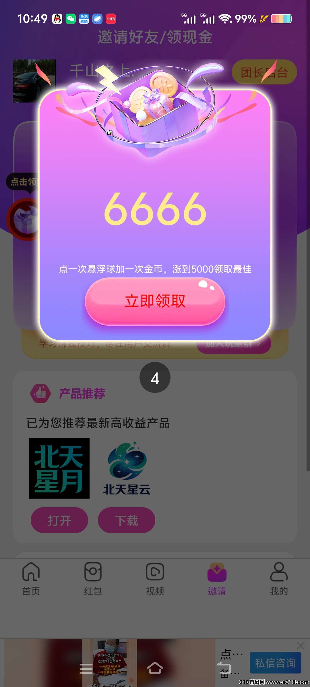 最新首码北天星月，补贴超高