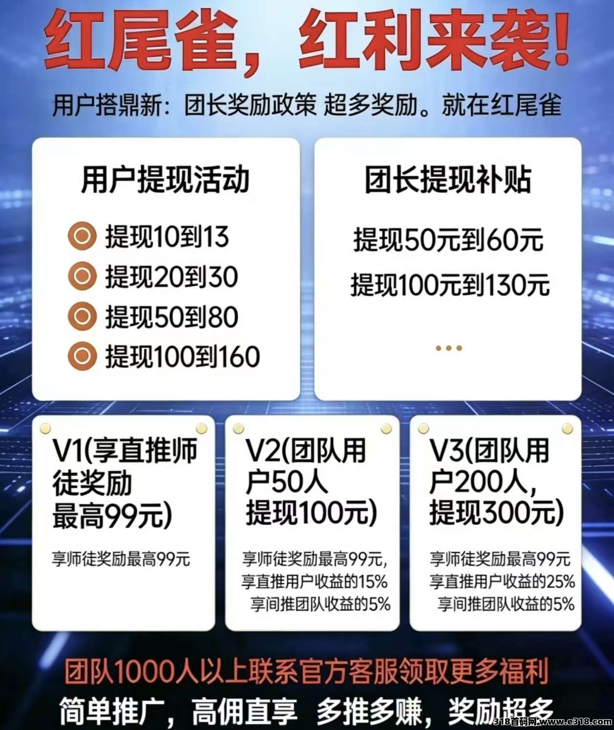 红尾鹤，新平台首码正式上线，团长推广可找我开最高团拿所有团队**收益