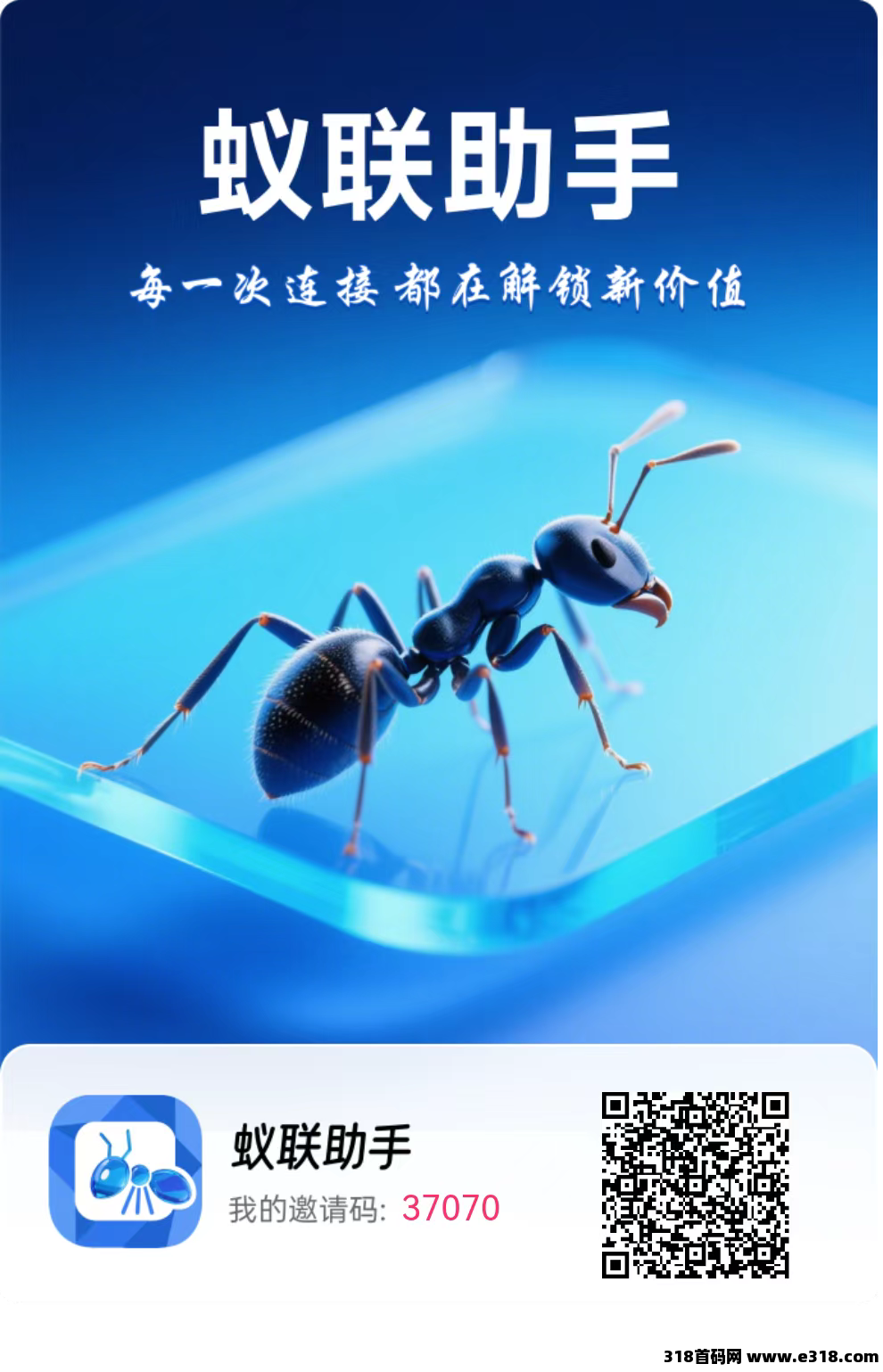 【蚁联助手】首码新出，零撸项目