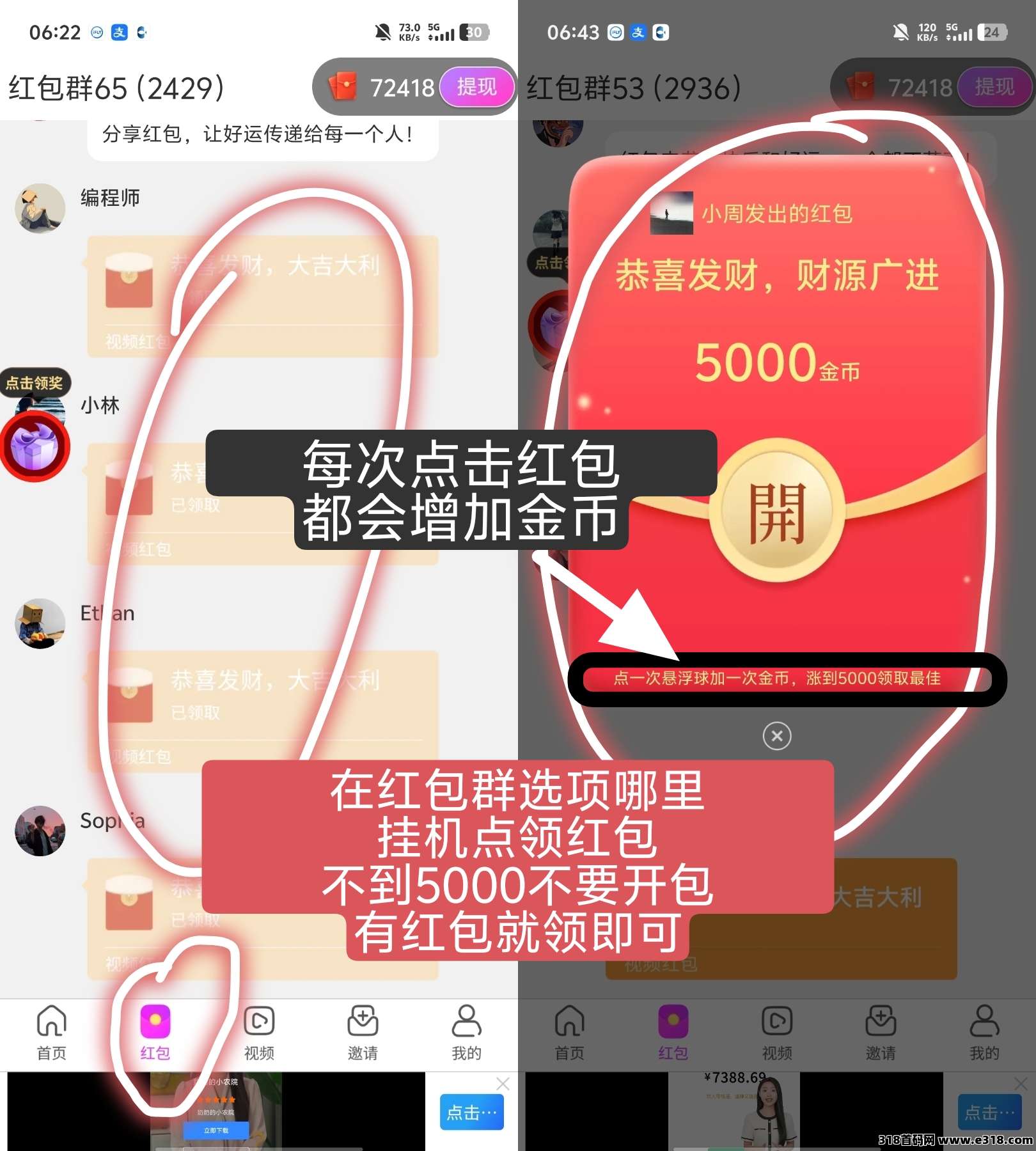 红尾鹤，每天零点自动分米
