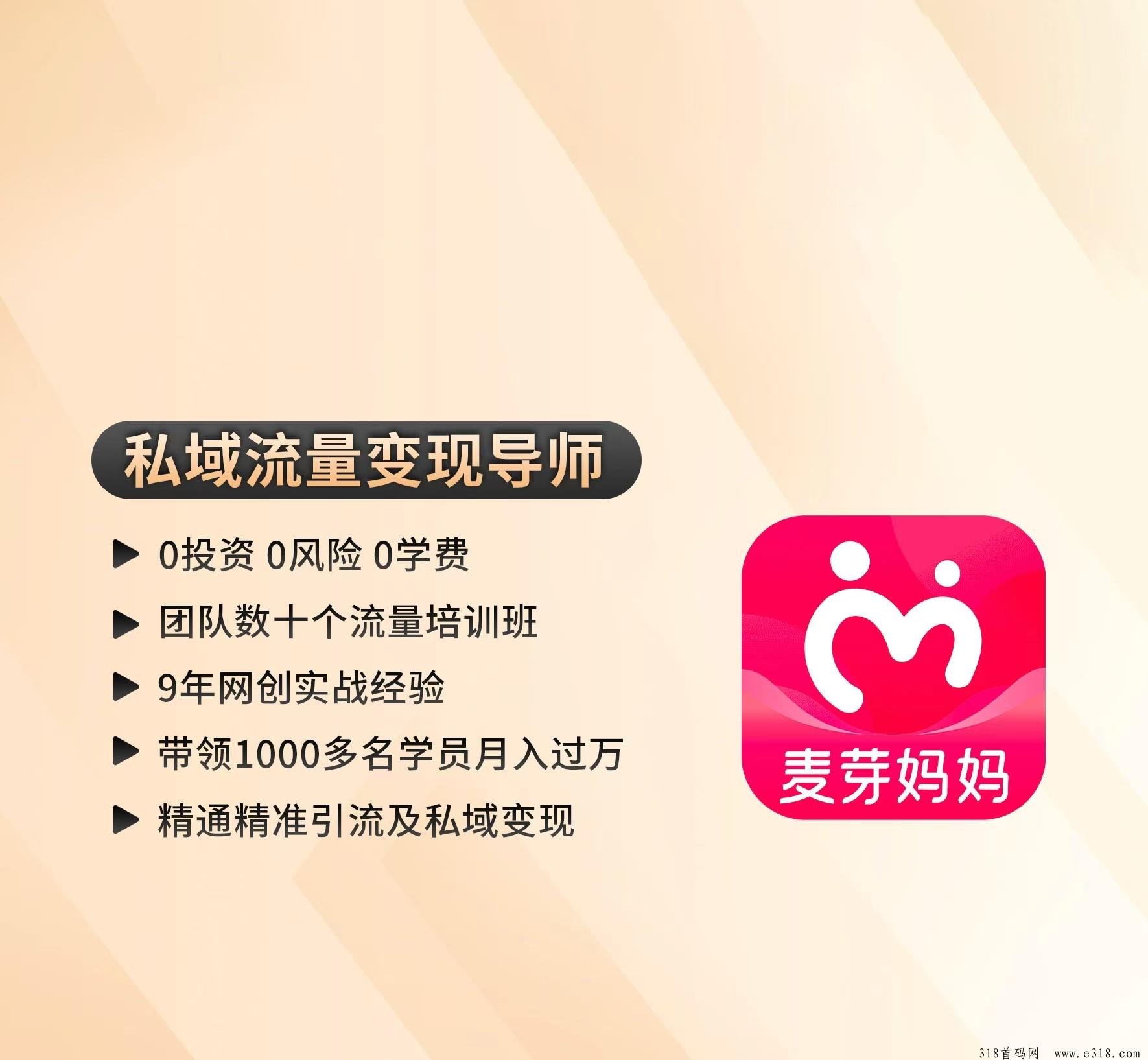 麦芽妈妈创始人对电商导购的几点思考