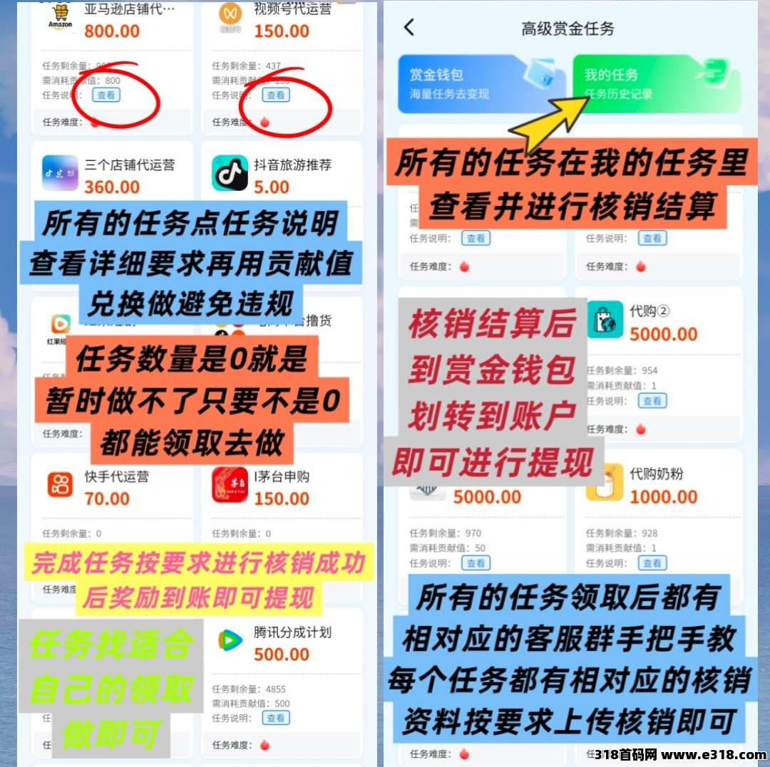 首码蚂蚁副业任务红利每天收益