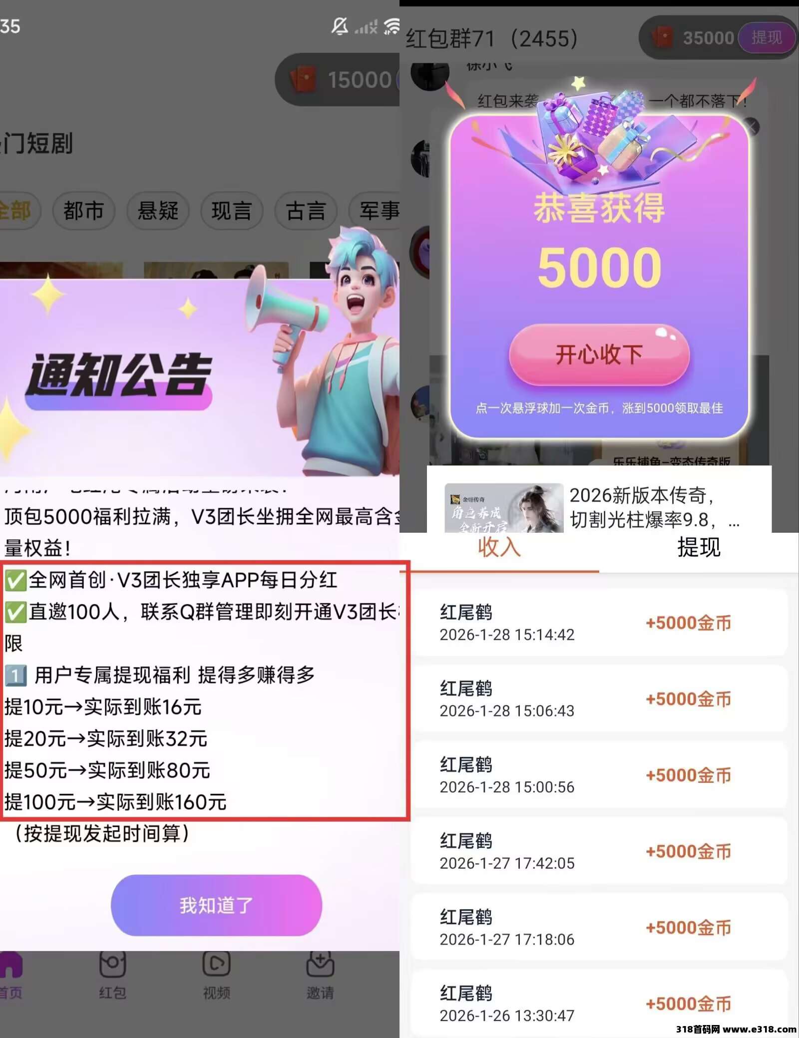 红尾鹤,不养机直接上车