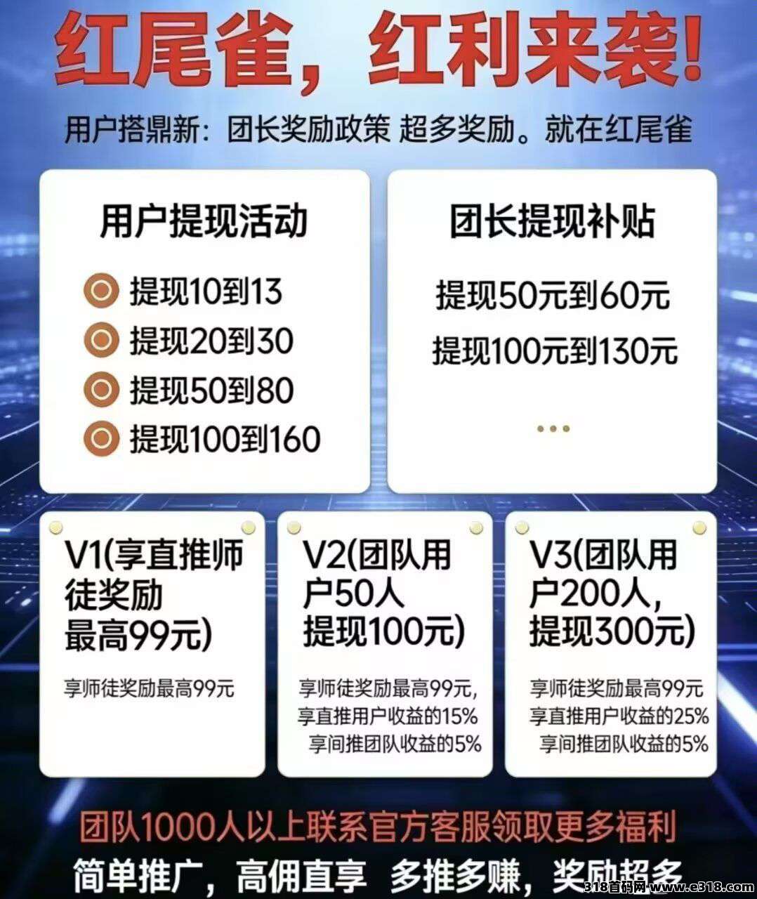 红尾鹤首码零撸广告，不养机保底收益高，全天大放水，独创团队团队**模式