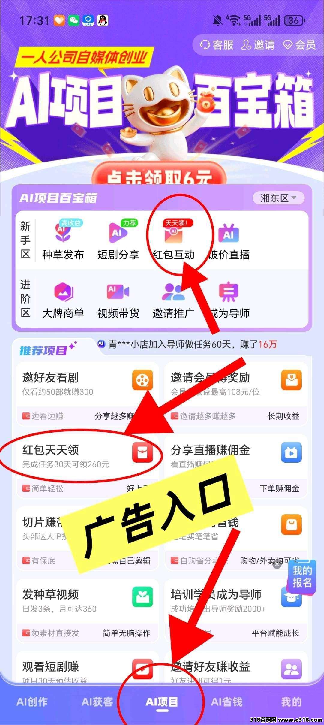 爱创猫零撸，新品AI应用，广告赚米，保底收益高，多种玩法