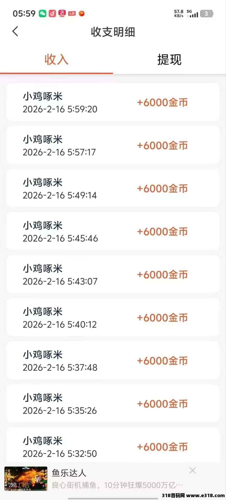 首码新台子小鸡琢米