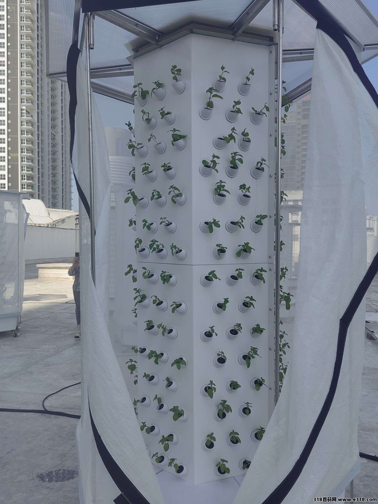 城市菜塔。黑科技+RWA新赛道长久高收益,扶持拉满