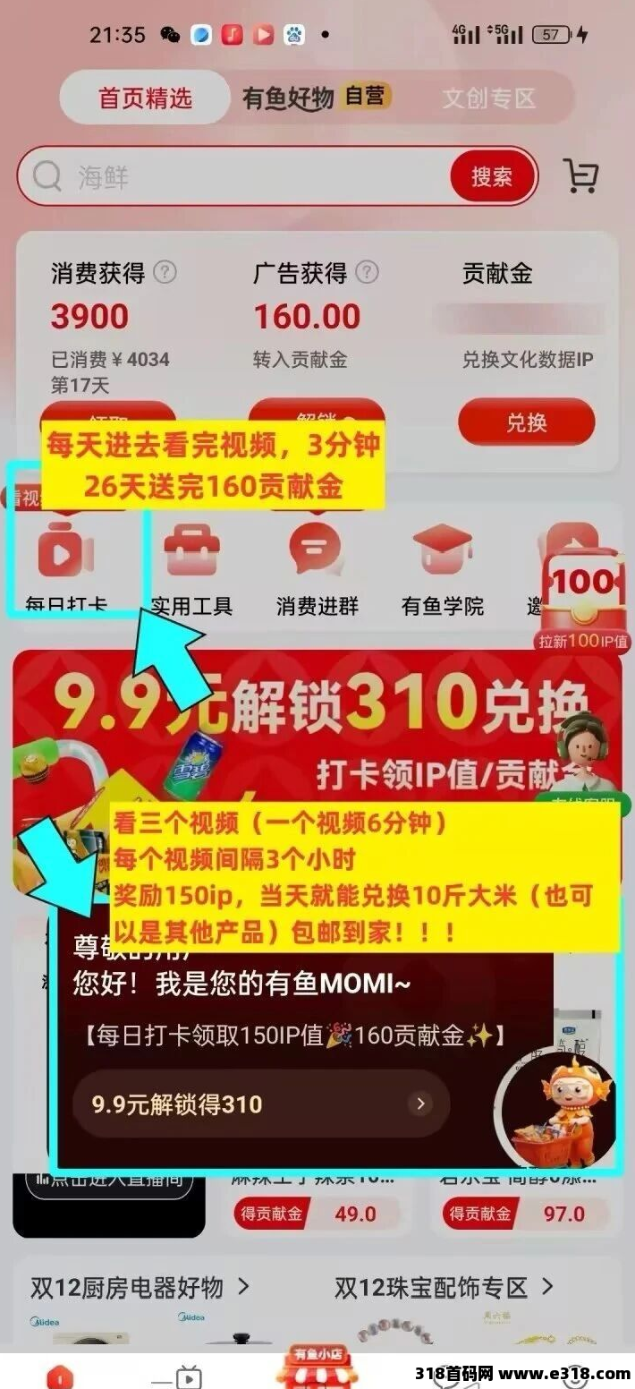 《有鱼生活》新人玩法,两件商品